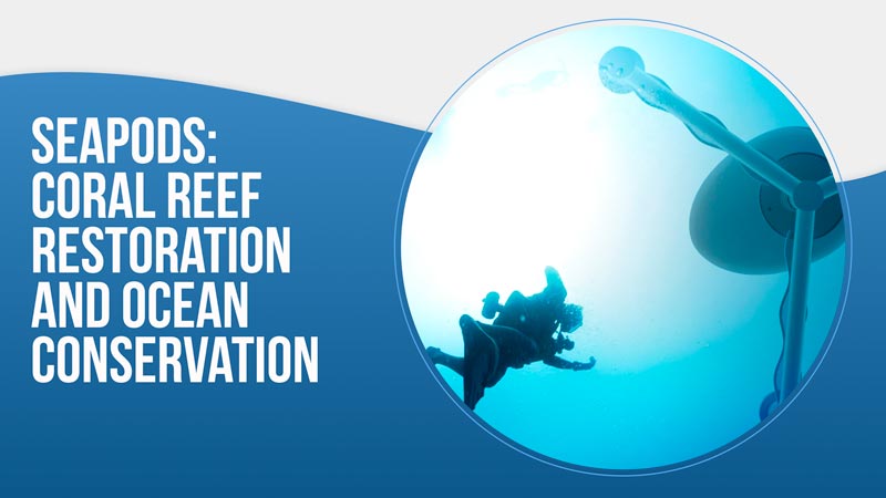 SeaPods: A Revolutionary Approach to Coral Reef Restoration and Ocean Conservation